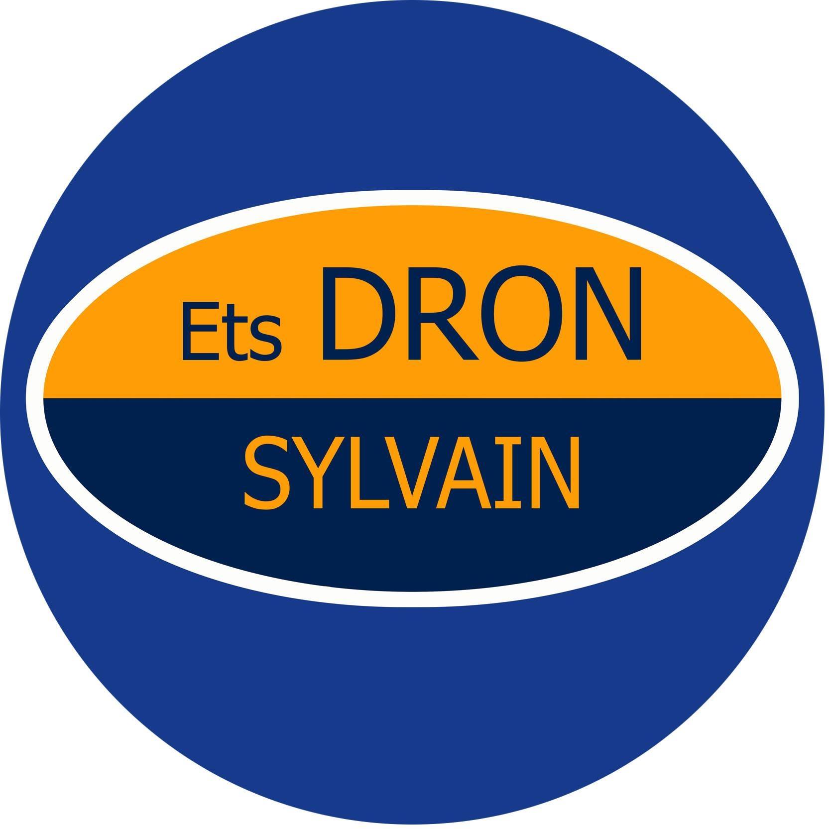 Sylvain Dron case study